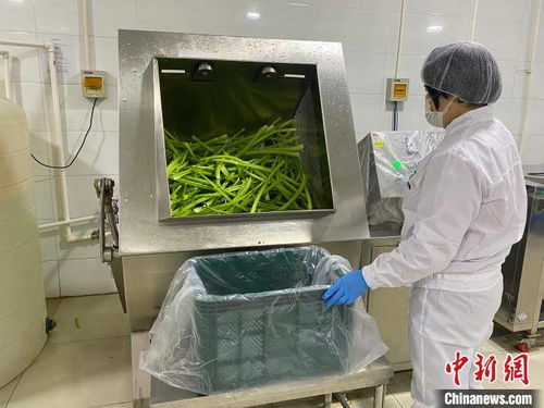 河北涞水土货“统购统销”进京生金，清洁服务焕新乡村经济