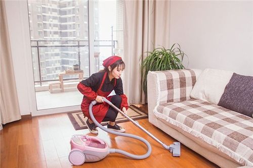 甘肃汇通博纳室内开荒保洁工程 专业清洁与除四害服务详解